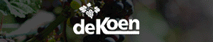 wijndomein-de-koen