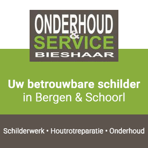 onderhoud-service-bieshaar