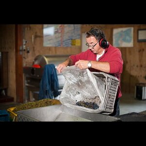 Wijndomein De Koen image 4