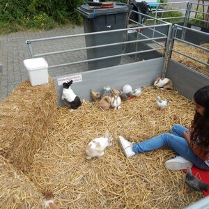 Kinderdagverblijf het Zaans Stationnetje B.V. image 4