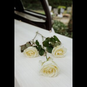 Aline Uitvaartbegeleiding image 3