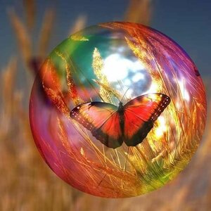 Anno Nu Uitvaartverzorging image 2