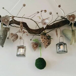 A Lifestyle 4 All image 2