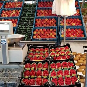 Stichting Markten Alkmaar image 1