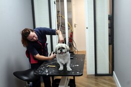 Nieuw op de Middenweg: Annie’s Trimsalon