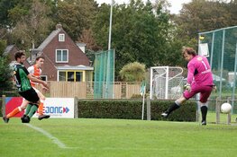 Limmen maatje te groot voor Vrone