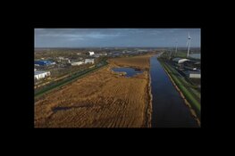 Nieuwe rietlanden in omgeving Alkmaar van enorme natuurwaarde