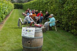 Wijndomein De Koen: "Eindelijk..."