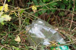 Vierde EndPlasticSoup Action Day  Zaterdag 5 juni 2021