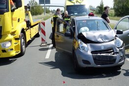 Kop-staart botsing door eenden familie