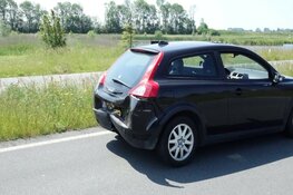 Kop-staart botsing door eenden familie