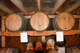 Streekmarkt Dijk en Waard geeft lokaal talent een podium