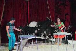 Circus Barani komt naar Noord-Scharwoude