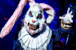 Griezelen tijdens het Halloween Weekend bij Cool!