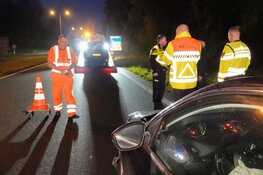 Kop-staartaanrijding door uitwijkmanoevre vanwege overstekend dier