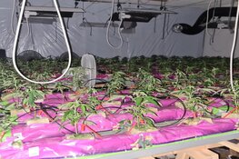 Henneptuinen in woningen ontmanteld