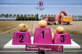 Wedstrijd &#39;De Grootste Ui&#39; gaat van start