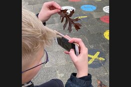 Smartphone fotografie voor scholen
