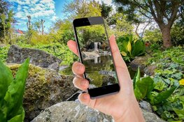 Smartphone fotografie leer je bij Fred!