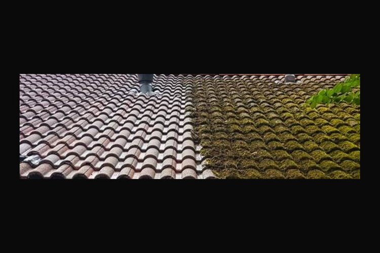 Softwash dakreinigen is het alternatief voor schadelijke hogedruk reiniging