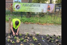 Icarushuis plantte ontmoetingsplaats voor de deur