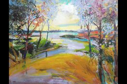 3 januari t/m 30 juni: expositie Jan Hollenberg in de Raatstede