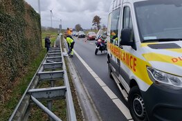 Hond aangereden op N242 bij Heerhugowaard