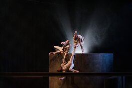 Panama Pictures brengt dans, acrobatiek en muziek samen in Cool