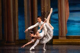 Een betoverende uitvoering van de Sleeping Beauty