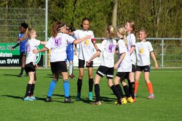 De Vlindertuin grote winnaar op finaledag Schoolvoetbal Dijk en Waard