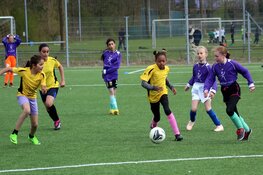 De Vlindertuin grote winnaar op finaledag Schoolvoetbal Dijk en Waard