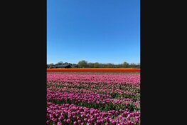 Ontdek de verborgen schatten van Dijk en Waard en Noord-Holland!