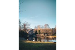 Duurzaamheid in Dijk en Waard: Initiatieven die het verschil maken