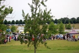 Gezellige drukte bij kofferbakmarkt Strand van Luna