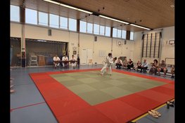 Judo-examens EBI-Sports