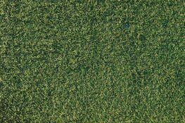 Kunstgras in de tuin: altijd groen en geen onderhoud