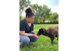 Kinderboerderij De Beestenboel in Zuid-Scharwoude ontvangt keurmerk Diervriendelijke kinderboerderijen