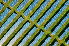 Chint Solar - Zonnepanelen op agrarische grond - De toekomst van duurzame energie