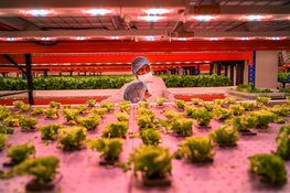 Food for Thought: Het Scheepvaartmuseum opent tentoonstelling over de verborgen wereld achter ons voedsel