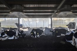 Food for Thought: Het Scheepvaartmuseum opent tentoonstelling over de verborgen wereld achter ons voedsel