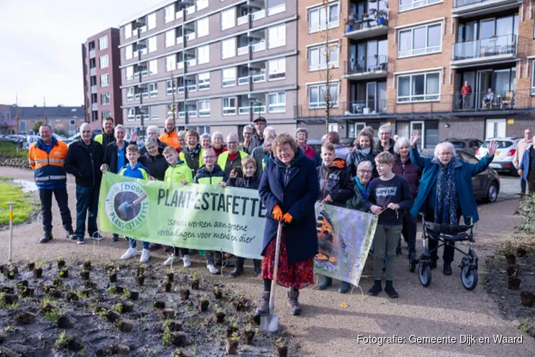 Tamarixplantsoen groener, mooier en speelser dan ooit!