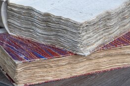 Nieuwe cursussen bij het Regionaal Archief: Stamboom uitzoeken en oude teksten lezen