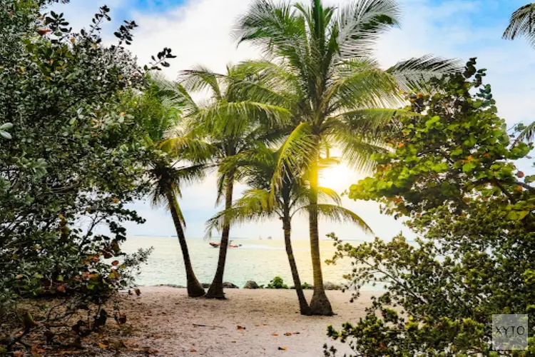Rondreis Amerika met gezin: Ontdek de perfecte vakantiebestemming
