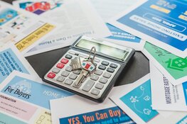 ABN AMRO: Huizenprijs stijgt met 4% in 2024