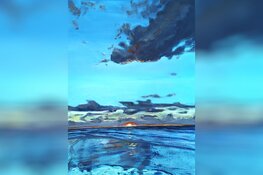 Stem op het mooiste kunstwerk van Han Fortmann leerlingen