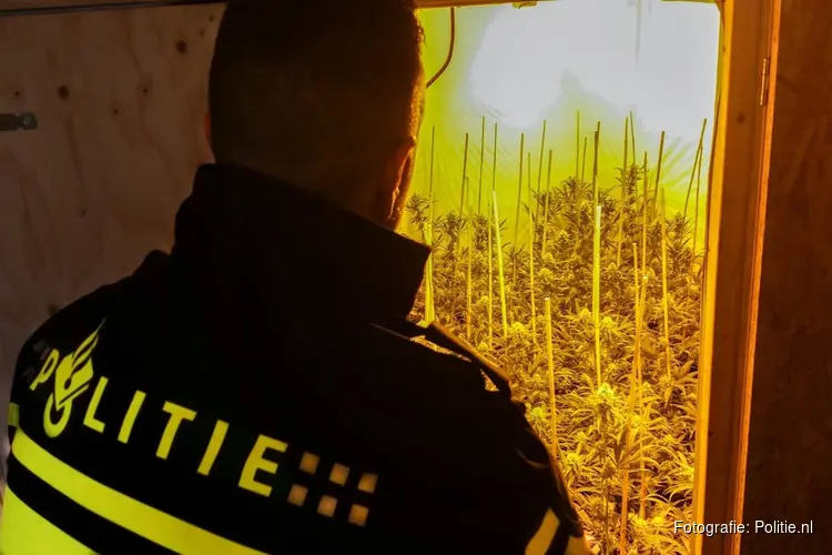 Twee hennepkwekerijen ontdekt in Heerhugowaard en Volendam