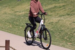 De elektrische fiets is niet meer weg te denken