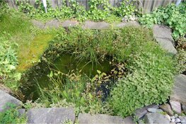 Vijveravond bij Hugo Aqua