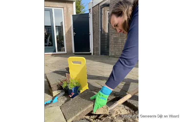 Dijk en Waard trapt NK Tegelwippen af voor meer groen: gratis tuinplant voor elke m2 aan gewipte tuintegels
