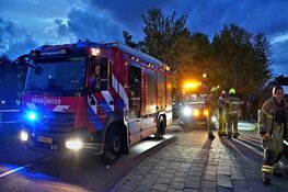 Man laat spoor van vernieling achter bij taxibedrijf en Horizon College